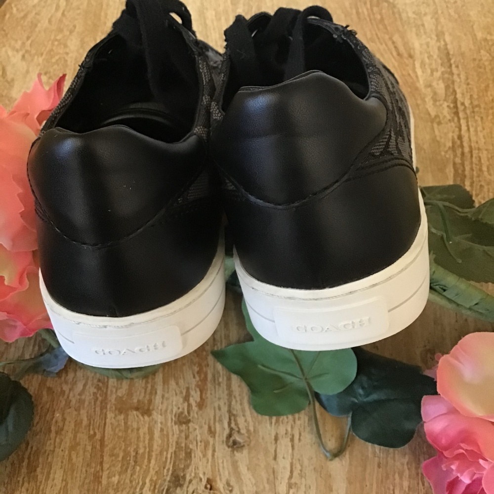 Coach- Paddy Signa. Logo Sneakers - Picture 6 of 14